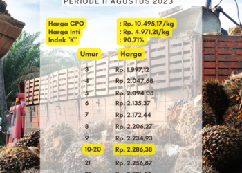 Harga TBS Sumsel Periode 2 Agustus 2023