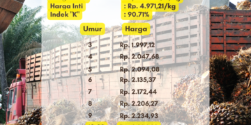 Harga TBS Sumsel Periode 2 Agustus 2023