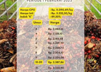 Harga TBS Sumsel Periode 1 Februari 2023