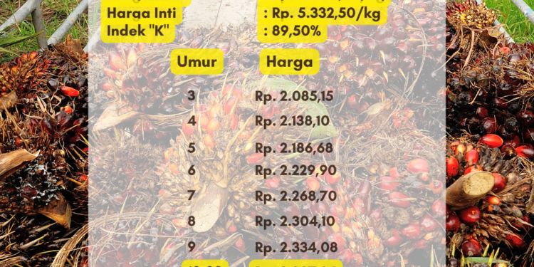 Harga TBS Sumsel Periode 1 Februari 2023