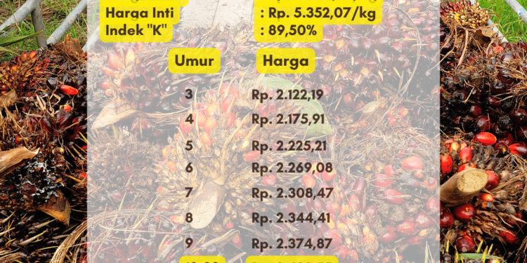 Harga TBS Sumsel Periode 2 Februari 2023