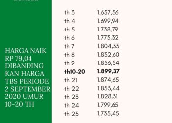 Harga TBS Sumsel Periode 1 Oktober 2020