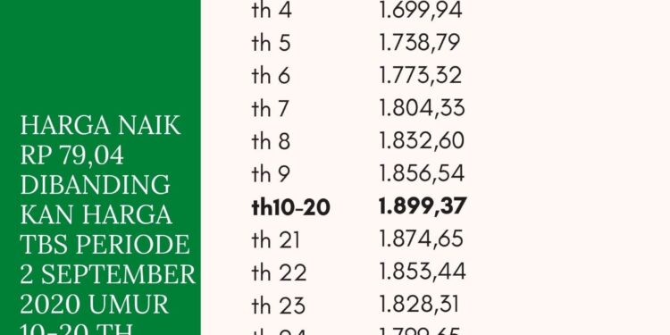 Harga TBS Sumsel Periode 1 Oktober 2020