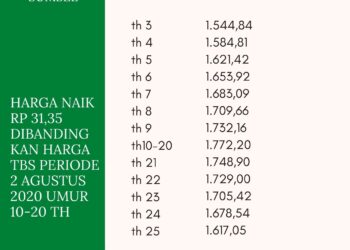 Harga TBS Sumsel Periode 1 September 2020