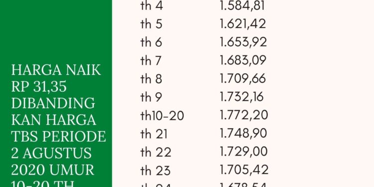 Harga TBS Sumsel Periode 1 September 2020