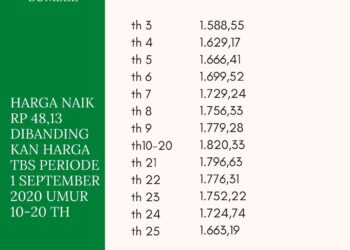 Harga TBS Sumsel Periode 2 September 2020