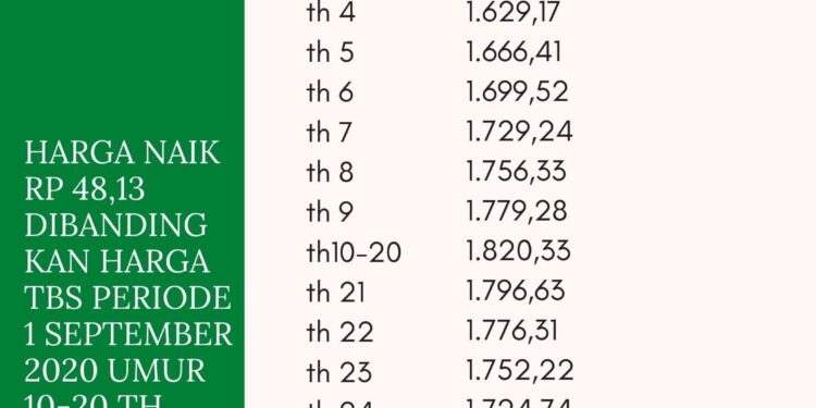 Harga TBS Sumsel Periode 2 September 2020