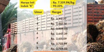Harga TBS Sumsel Periode 1 Juli 2024