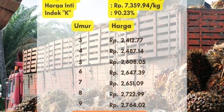 Harga TBS Sumsel Periode 1 Juli 2024