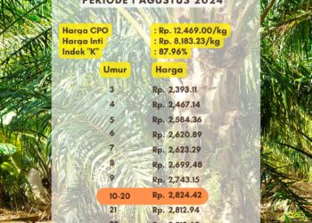 Harga TBS Sumsel Periode 1 Agustus 2024