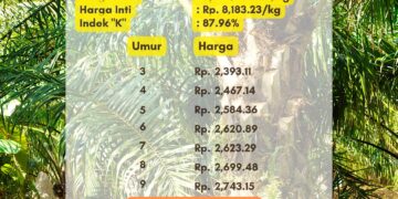 Harga TBS Sumsel Periode 1 Agustus 2024