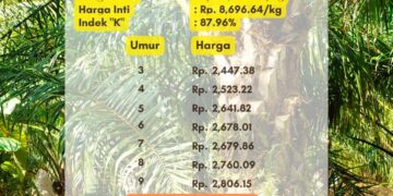 Harga TBS Sumsel Periode 2 Agustus 2024