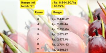 Harga TBS Sumsel Periode 1 September 2024