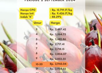 Harga TBS Sumsel Periode 2 September 2024